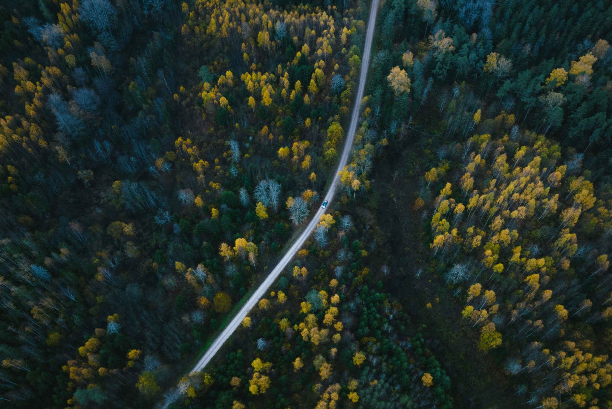 Naturmiljö — hållbarhet